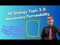 Cell Membrane Structure and Function