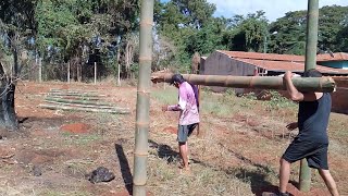Vou plantar pepino