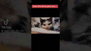 Cats deserve better than this. Be the change, be their chance. #cat #cats