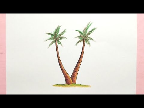 Cara menggambar pohon kelapa - How to draw palm tree