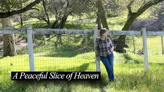 A Peaceful Slice of Heaven | Could You Live Here? Over 50 Over 60