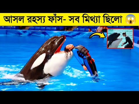 আসলেই কি ডলফিন মেয়েটাকে গিলে খেয়েছে? jessica radcliffe orca attack