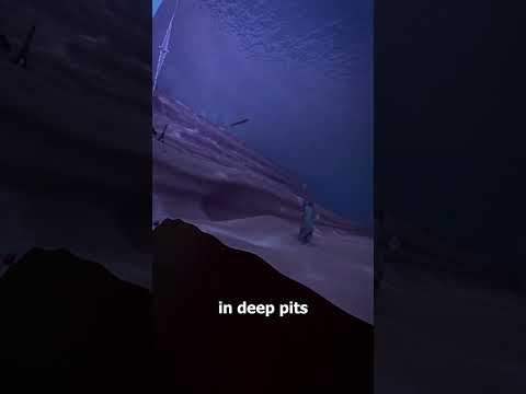 Just How Deep Is The Ocean? 🌊🤔