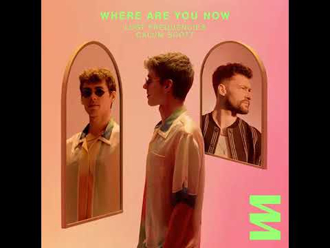 Lost Frequencies - Where Are You Now (Audio) Ft. Calum Scott