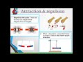 Magnetism Concepts and Applications