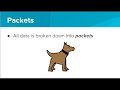 Understanding Internet Packets