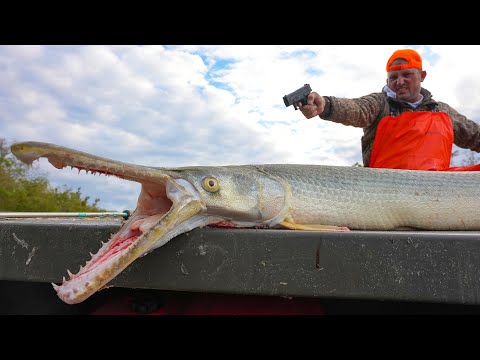 It Took 3 Shots to get this Fish in the boat! {Catch Clean Cook} Alligator Gar Taste Test