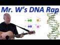 DNA: The Essence of Life
