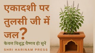 तुलसी पत्र कब चयन करें कब नहीं ? क्या एकादशी पर तुलसी जी को जल दे सकते हैं?  तुलसी जी का एकदशी व्रत?