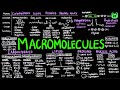 Biomolecules and Their Functions