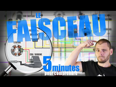 💂‍♂️ Comprendre le FAISCEAU électrique en 5 minutes