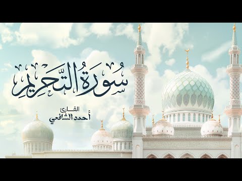 سورة التحريم القارئ أحمد الشافعي | Surah At-Tahrim - Ahmed Alshafey