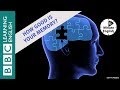 Memory Improvement Techniques and Concepts
