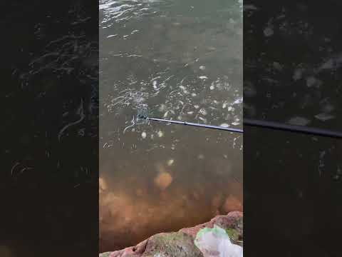 New Slingshot Fishing Reel Set is ! Free for shipping on sale. homepage have store