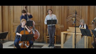 J.S. Bach, aria 'Christenkinder, freuet euch' BWV 40: Reinoud Van Mechelen and Il Gardellino