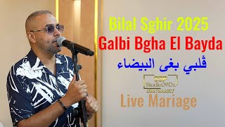 Bilal Sghir 2025 Galbi Bgha El Bayda Mariage live 2025 ڨلبي بغى البيضاء