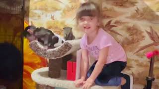 видео