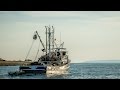 Marine Ecosystems and Economic Impacts