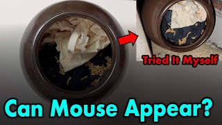 “Mouse Can Appear…?” I Recreated the Legendary Experiment!