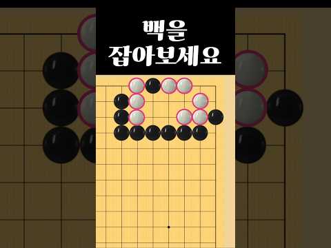 쉬운 바둑 사활 - 실수하면 다 놓칩니다