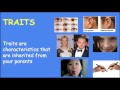 Genetics Concepts and Terminology