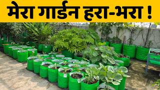 Terrace Garden Tour 🌱 | पौधों की नई अपडेट + Fresh Vegetables in Hindi