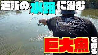 水門のカドにルアーを落としてみると…！？