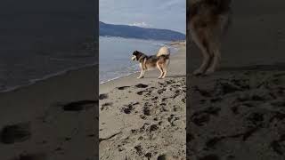 Mare D'inverno
