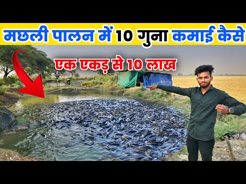 मछली पालन में 10 गुना कमाई कैसे करें | Mangur machhali palan