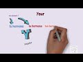 Mastering Possessive Adjectives in Spanish
