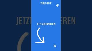 Alina Merkau - Sat1 Zeitlupe #shorts