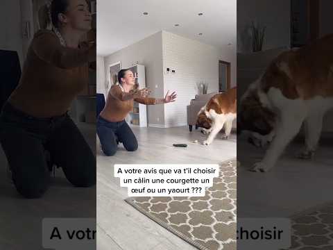 Encore une fois il me trahis 🥲😏 #shortvideo #humour #blague #drole #prank