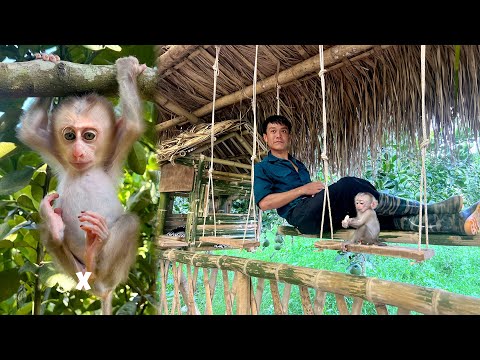 Dad and Sushi's happy life, gardening and harvesting vegetables and fruits