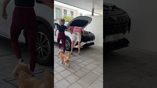 That was an unexpected twist...🤣 #cars #funny #relationships