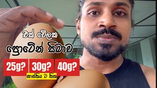 එක් ආහාර වේලකදී කොපමණ ප්‍රෝටීන් ප්‍රමාණයක් Absorb  කළ හැකිද?