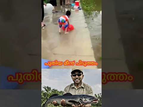 River fishing Fishing Video | trending video #shorts  #fyp #4k #viralvideo #fishing #hd #2025 #tamil
