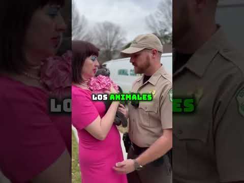 Oblig贸 a su gata anciana a usar ropa y maquillaje