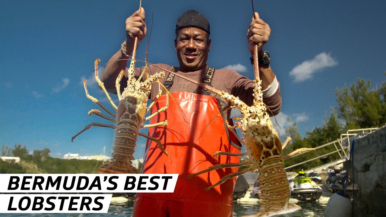 Why Spiny Lobster Is the Most In-Demand Crustacean Vendors