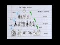Understanding the Feudal System