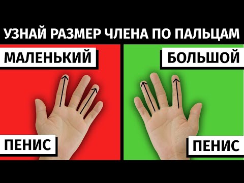 Как узнать размер мужского достоинства по пальцам на руке?| МУЖСКОЕ ЗДОРОВЬЕ