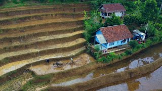 MANTAP EUY 😎 Kampung Super Betah di Jawa Barat, Sejuk dan Damai