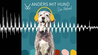 #185 Wenn Dein Hund „ausflippt“ – Was Impulsivität wirklich bedeutet und wie Du helfen kannst