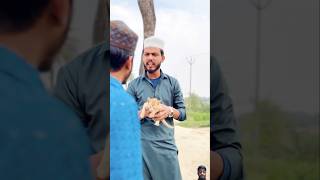 Ak billi ka bachcha ka help Kaya #army #trrending_#youtubeshorts #shorts