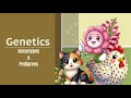 Genetics and Pedigree Analysis