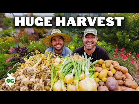 I Can't Believe We Harvested This From a Backyard...