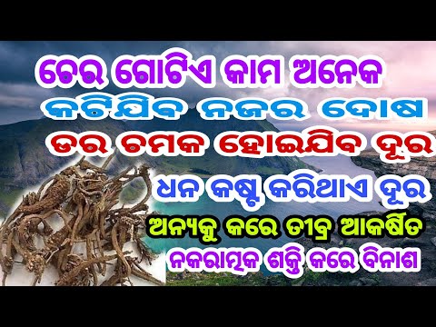 ଚେର ଗୋଟିଏ କାମ ଅନେକ। ଚମତ୍କାର କାମ ଏହି ଗଛ ଚେରର ଥରେ ନିଶ୍ଚୟ ଜାଣନ୍ତୁ।