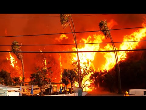 Structures Burn as Palisades Fire Explodes to 1,200+ Acres | California wildfires | Los Angeles