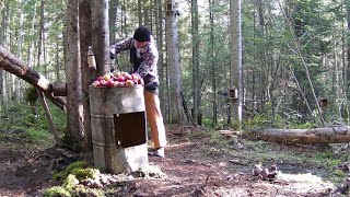 МЕДВЕДЬ УСТРОИЛСЯ ПОБЛИЖЕ К БОЧКЕ, ЧТОБЫ ПОЛАКОМИТЬСЯ ЯБЛОКАМИ И ГРУШАМИ.