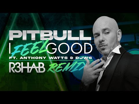 Pitbull Ft. Anthony Watts & DJWS - I Feel Good @R3HAB Remix (Visualizer)