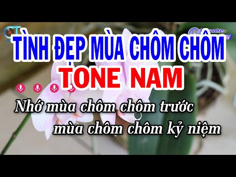 Karaoke Tình Đẹp Mùa Chôm Chôm Tone Nam Bm || Nhạc Sống Đồng Sen